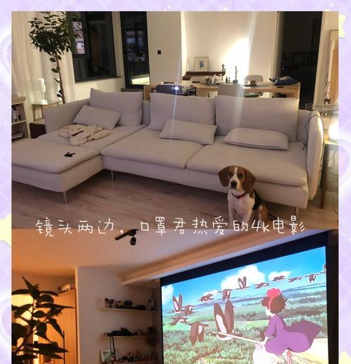 投影仪墙上布置有哪些美观的方案？如何打造家庭影院？