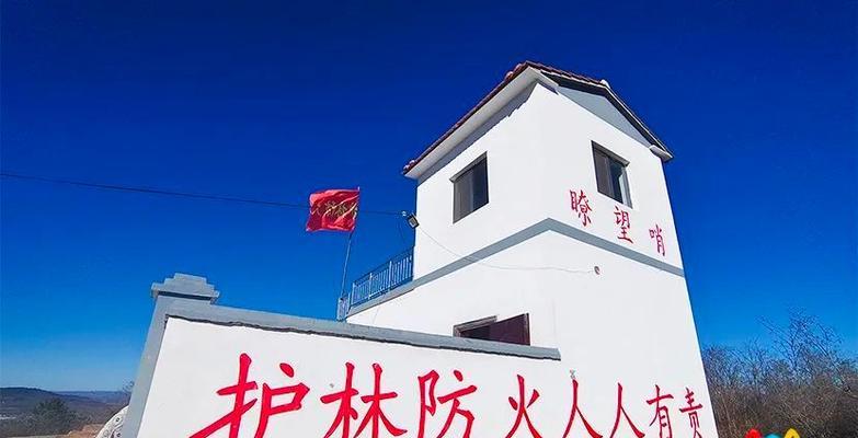 森林火灾中防火墙的作用是什么？