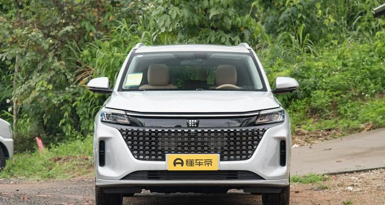蓝电e5荣耀版充电方法是什么？充电时遇到问题怎么解决？