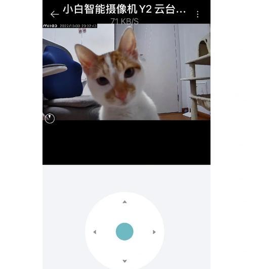 云看猫摄像头连接手机步骤？常见连接问题解答？