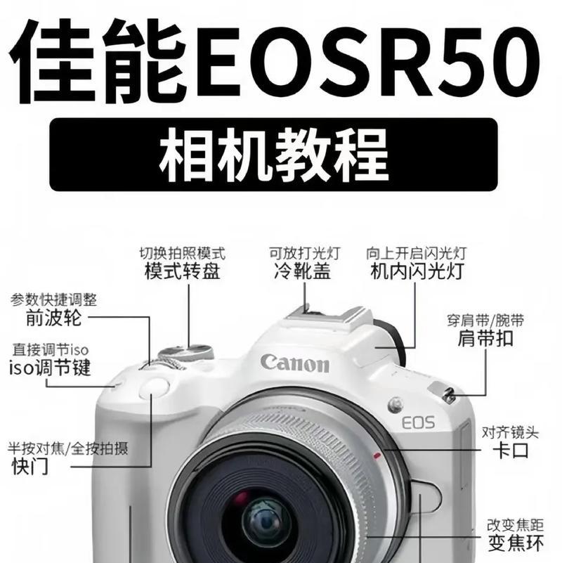 佳能相机支持音乐播放吗？如何设置音乐播放功能？