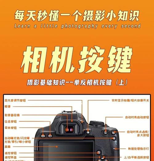 佳能相机参数如何重置？重启设置有哪些步骤？