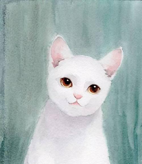 女孩猫手机壳设计灵感来源？画出独特图案的技巧是什么？