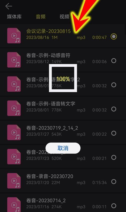苹果手机风噪降低功能如何开启？