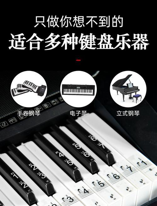 键盘琴是什么乐器类型？键盘琴与传统钢琴有何不同？