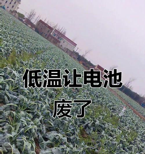 电池在低温下为何容易自燃？如何预防这种情况？