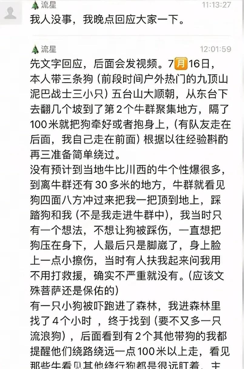疑似反转！五台山游客被牛群踩踏，当事人道出实情，否认喂牛肉干