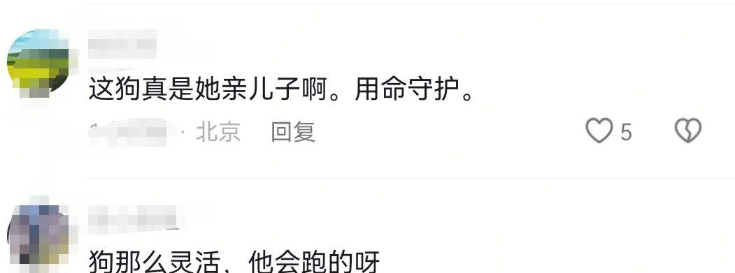 疑似反转！五台山游客被牛群踩踏，当事人道出实情，否认喂牛肉干