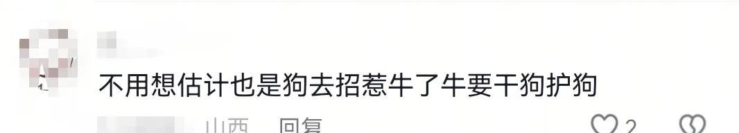 疑似反转！五台山游客被牛群踩踏，当事人道出实情，否认喂牛肉干