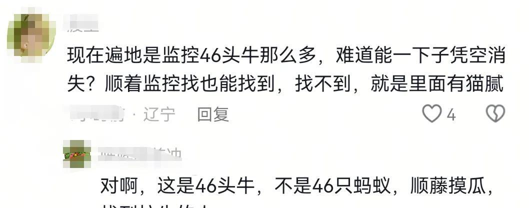 开封养牛户收卖牛款50万，牛拉走账户涉诈被冻！哭诉害怕钱牛两空