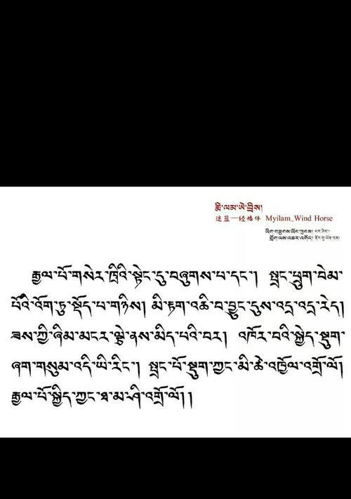 手机软件如何设置藏文名字？操作步骤是什么？