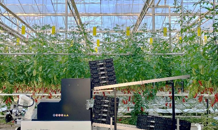 农业机器人的用途有哪些？英语中如何描述这些用途？
