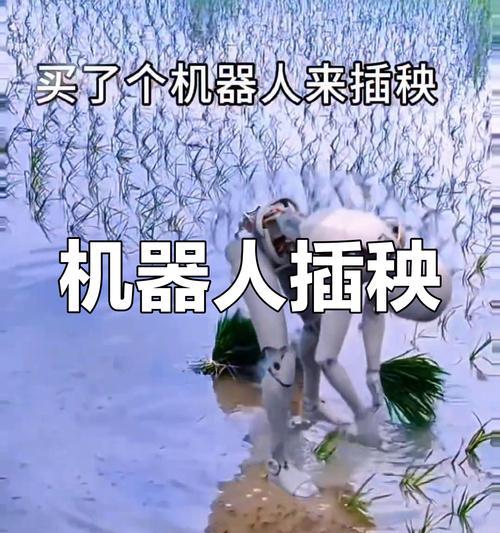 农业机器人的用途有哪些？英语中如何描述这些用途？