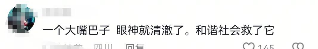 太狂了！女子凌晨5点火车上唱歌跳舞，面对劝阻反怼:有钱买卧铺去