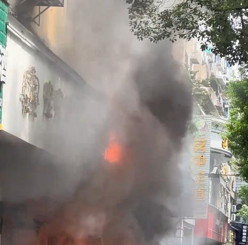 宠物店火灾监控曝光，店长冒死救生感动全网：没人比我更知道位置