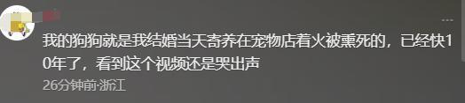 宠物店火灾监控曝光，店长冒死救生感动全网：没人比我更知道位置