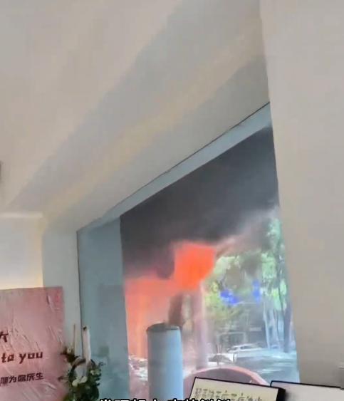 宠物店火灾监控曝光，店长冒死救生感动全网：没人比我更知道位置