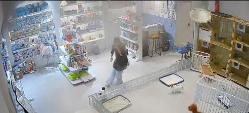 宠物店火灾监控曝光，店长冒死救生感动全网：没人比我更知道位置