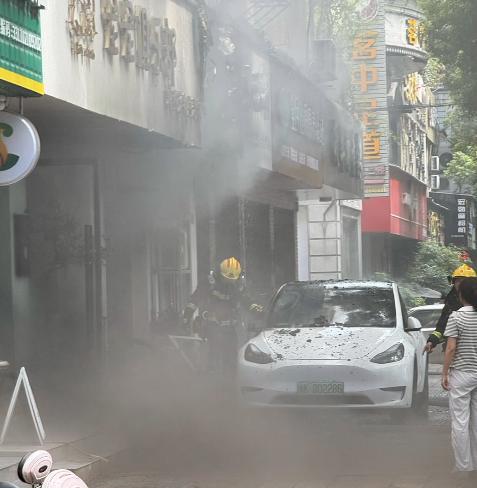 宠物店火灾监控曝光，店长冒死救生感动全网：没人比我更知道位置