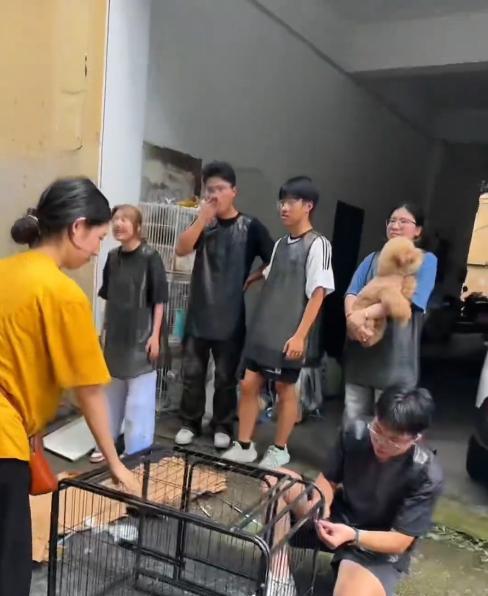 宠物店火灾监控曝光，店长冒死救生感动全网：没人比我更知道位置