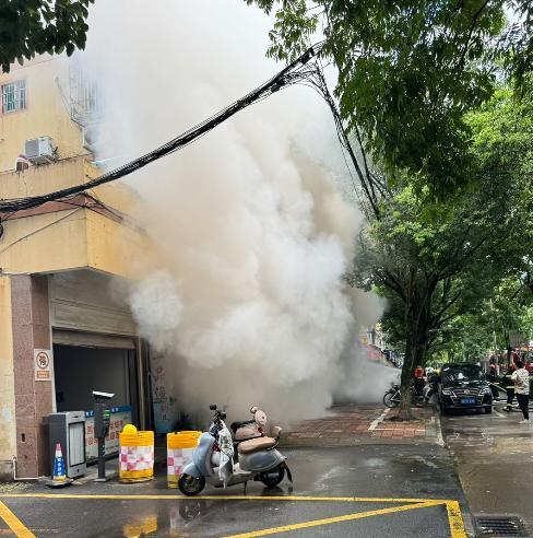 宠物店火灾监控曝光，店长冒死救生感动全网：没人比我更知道位置