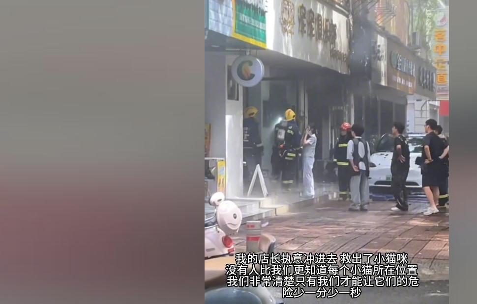 宠物店火灾监控曝光，店长冒死救生感动全网：没人比我更知道位置