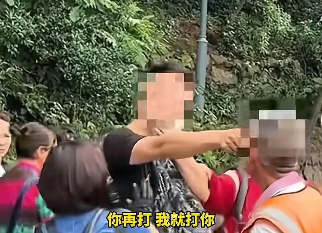 你再打猴我打你！保洁大爷驱赶猴子被一南京游客辱骂，公园回应