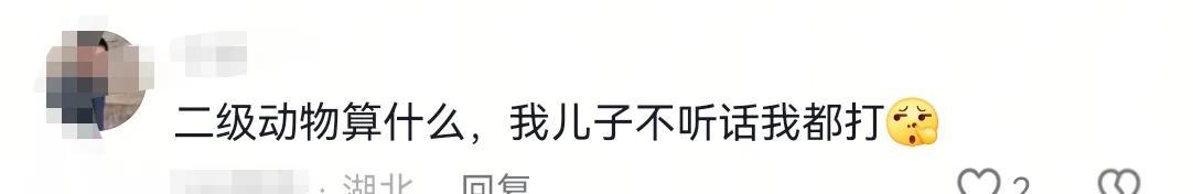 你再打猴我打你！保洁大爷驱赶猴子被一南京游客辱骂，公园回应