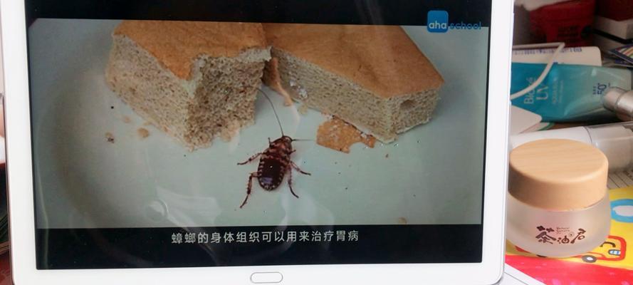 蟑螂进入笔记本电脑，如何处理（应对蟑螂入侵笔记本电脑的有效方法）