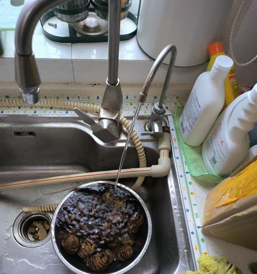 净水器无法去除水垢的原因（水垢成因及对净水器的影响）