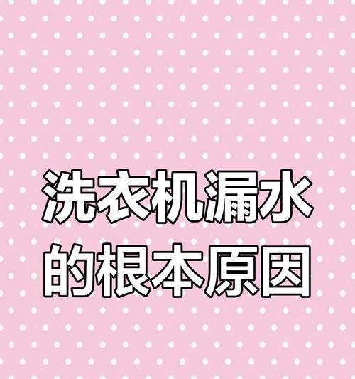 如何修理双缸洗衣机漏水问题（解决双缸洗衣机漏水的有效方法）
