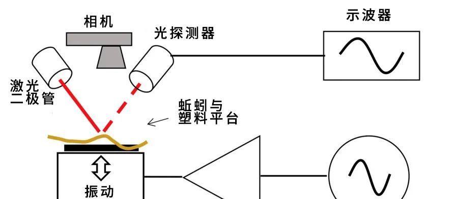 蹦迪运动相机使用教程是什么？操作中常见问题有哪些？