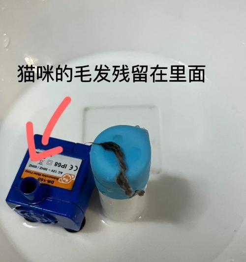 饮水机放出虫子的原因与预防方法（探究饮水机虫害的根源）