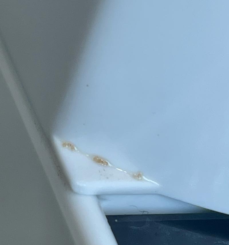 饮水机放出虫子的原因与预防方法（探究饮水机虫害的根源）