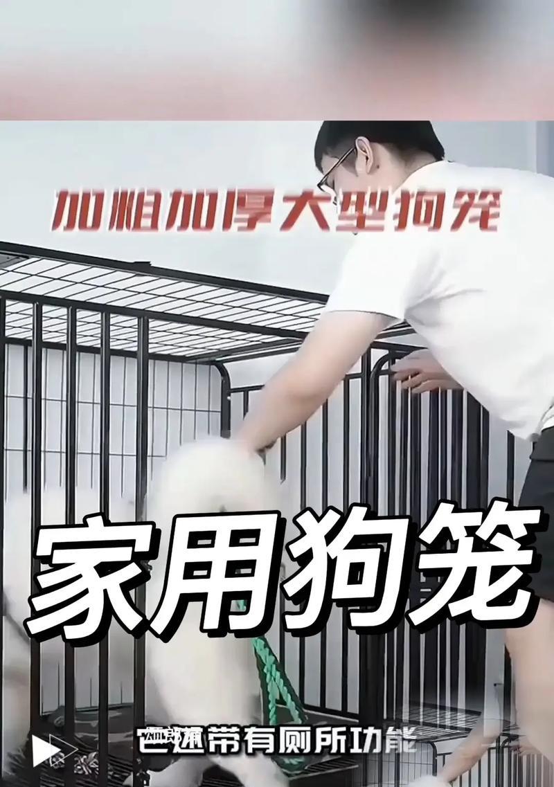 狗笼安装摄像头的方法是什么？操作中应注意什么？