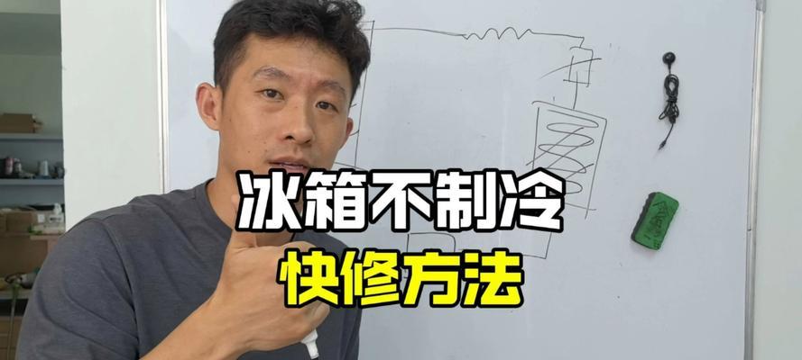 冰箱不制冷的原因及维修方法（掌握冰箱维修技巧）