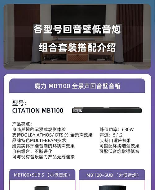 纽曼b55音响的音质和性能如何？用户反馈怎么样？