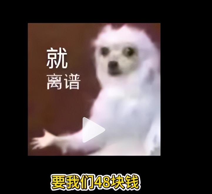 女孩曝景德镇出租车宰客，司机辱骂还抢手机，报警后态度更恶劣