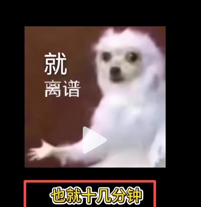 女孩曝景德镇出租车宰客，司机辱骂还抢手机，报警后态度更恶劣