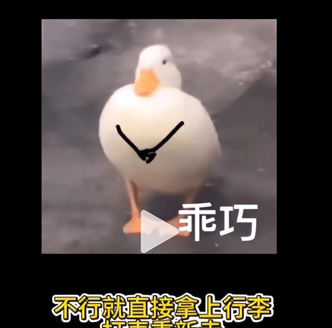 女孩曝景德镇出租车宰客，司机辱骂还抢手机，报警后态度更恶劣